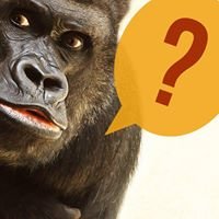 Whatcha Think? chat bot