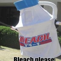 Bleach Please.:-P chat bot