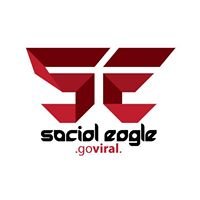 Social Eagle chat bot