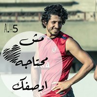 Ahmed hegazy fanss chat bot