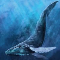 კომიქსი ვეშაპი / Blue Whale chat bot