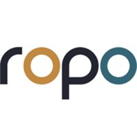 Ropo Ventures chat bot