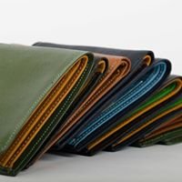 Splendid Wallet chat bot