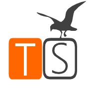 TechSavanna chat bot