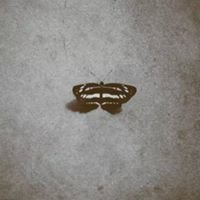 My close Brothers and Friends chat bot