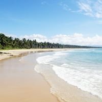 SanVic Palawan Secret Files chat bot