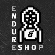 Endure chat bot