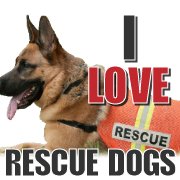 I Love Rescue Dogs chat bot