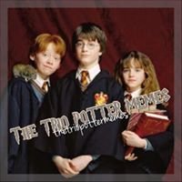 The Trio Potter Memes chat bot