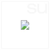 UDSU Test Community chat bot