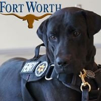 Fort Worth Animal Care & Control chat bot