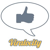 Viralocity chat bot