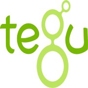 Tegu - Africa chat bot