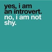 The Introvert Club chat bot