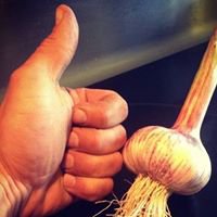 Good Aussie Garlic chat bot