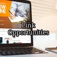 Link Opportunities chat bot