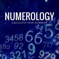 Numerology Matters chat bot