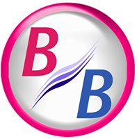 Bloomer Boomer chat bot