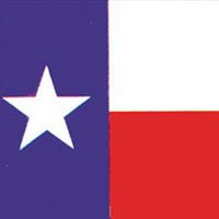 Texas Auto Association chat bot