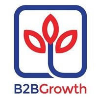 B2BGrowth chat bot