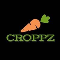 CROPPZ chat bot