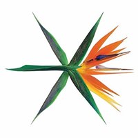 EXO Chatbot chat bot