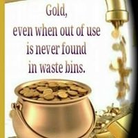 Swissgolden Femolynkeith Billionaire Team. FBT chat bot