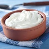 Curd/Dahi chat bot