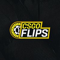 CSGOFlips chat bot