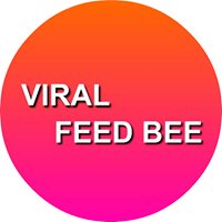 Viral Feed Bee chat bot
