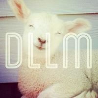 DLLM chat bot