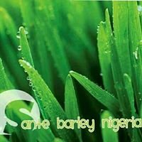 Santé Barley Nigeria chat bot