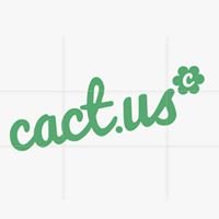Cactus Agency Consulting chat bot