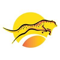 CheetahGroup chat bot