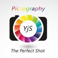 YJS Picsography chat bot