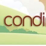 Condiminds chat bot