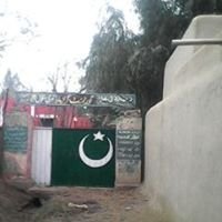 Justice for Government Girls Primary School Chak No 38/14-L Kassowal chat bot