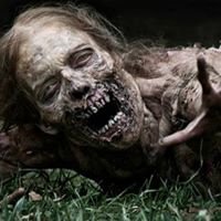 Georgian Zombie Society chat bot