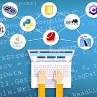 Z Hackers chat bot