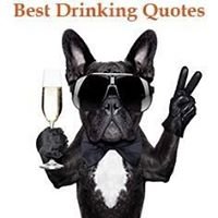 Best Drinking Quotes chat bot