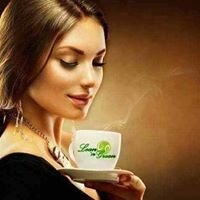 Lean 'n Green Inc. chat bot