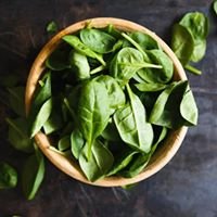 Spinach challenge chat bot