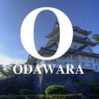 Odawara chat bot