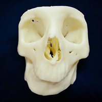 3D Sagmarks chat bot