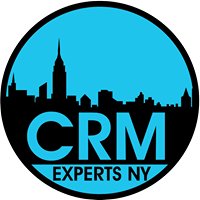 CRM Experts NY chat bot