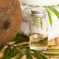 Elrad Extra Virgin Coconut Oil chat bot
