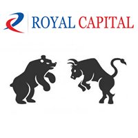 Royal Capital Ltd. chat bot