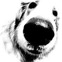 Selferize.com chat bot