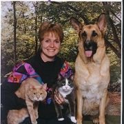 Corks Critter Care Home & Pet Sitting Service chat bot