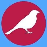 Draft Bernie for a People's Party chat bot